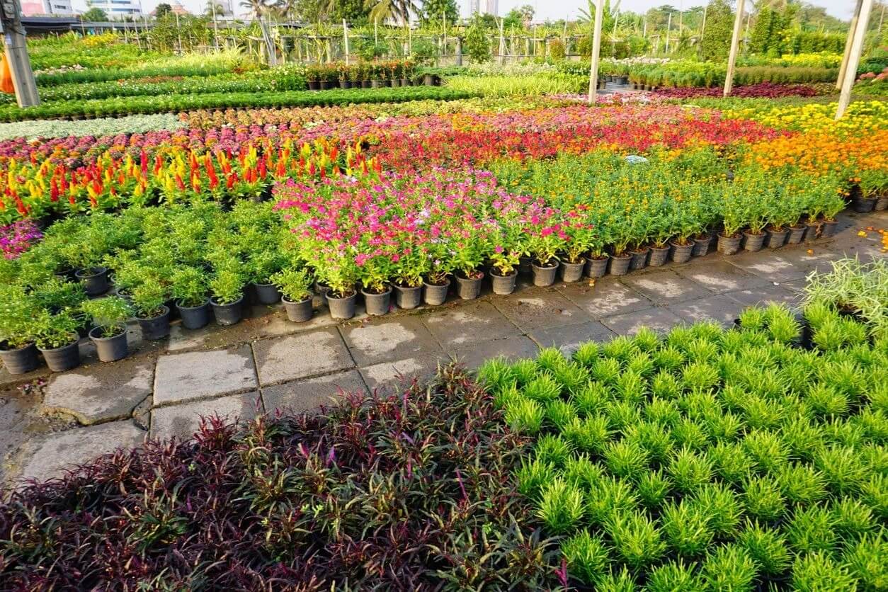 Winter Green Nursery Landscaping & Florist